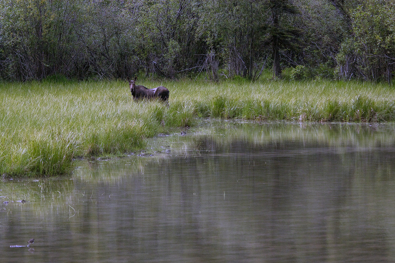 5G7A6911_R1 copy.jpg