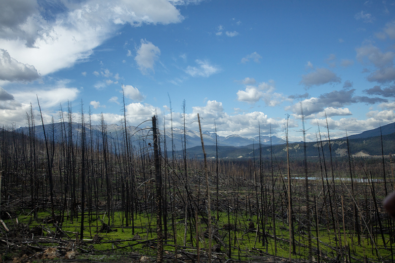 5G7A7041_R1 copy.jpg