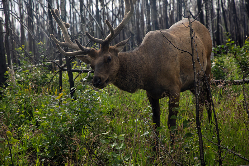 5G7A7050_R1 copy.jpg