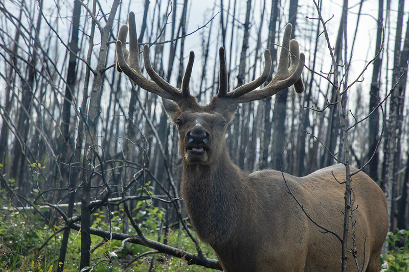 5G7A7054_R1 copy.jpg