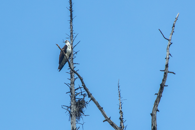 5G7A7202_R1 copy.jpg