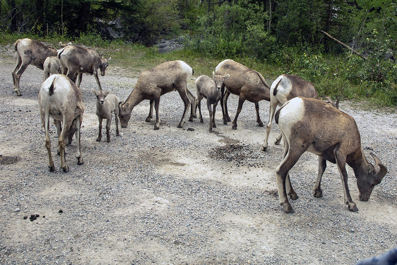 5G7A7253_R1 copy.jpg