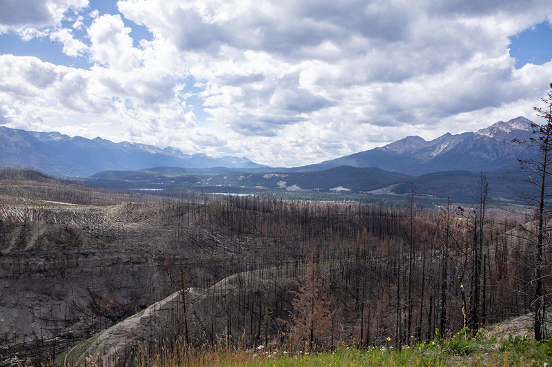 5G7A7290_R1 copy.jpg