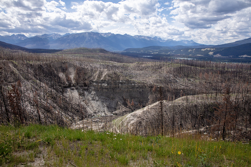 5G7A7293_R1 copy.jpg