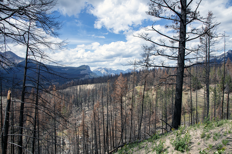 5G7A7301_R1 copy.jpg