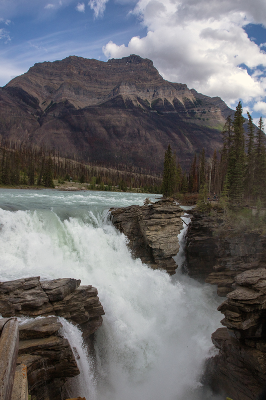 5G7A7313_R1 copy.jpg