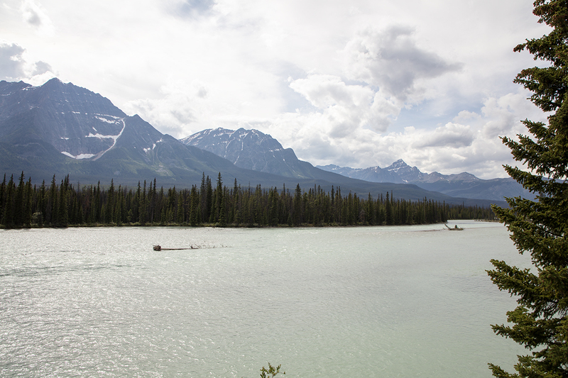 5G7A7383_R1 copy.jpg