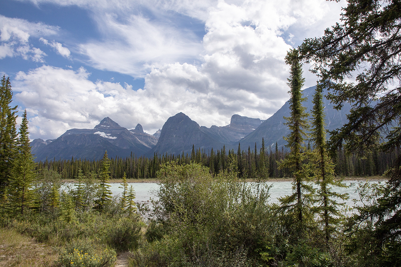 5G7A7395_R1 copy.jpg