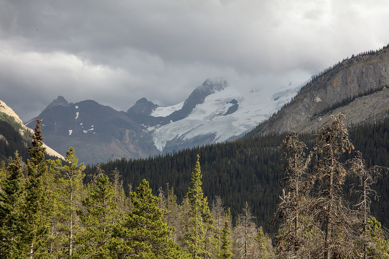 5G7A7417_R1 copy.jpg