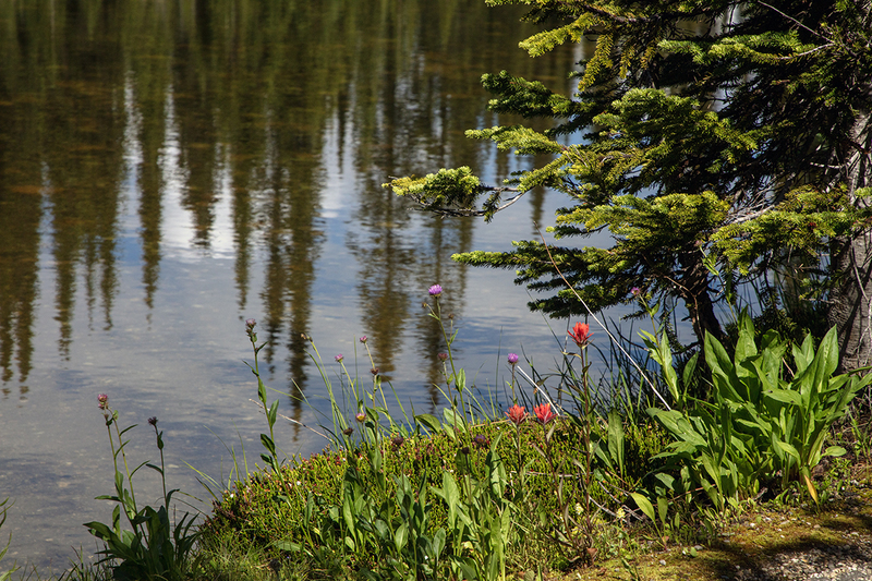 5G7A7599_R1 copy.jpg