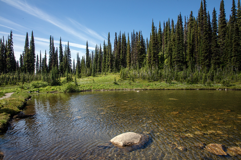 5G7A7607_R1 copy.jpg