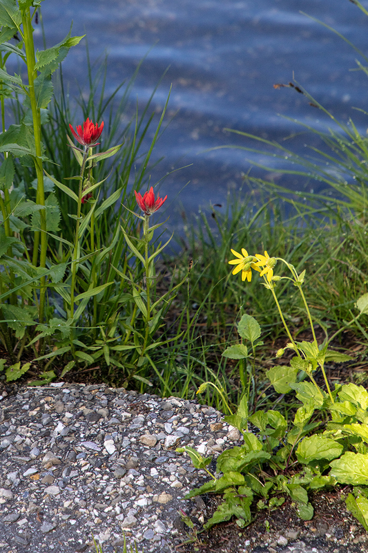 5G7A7610_R1 copy.jpg