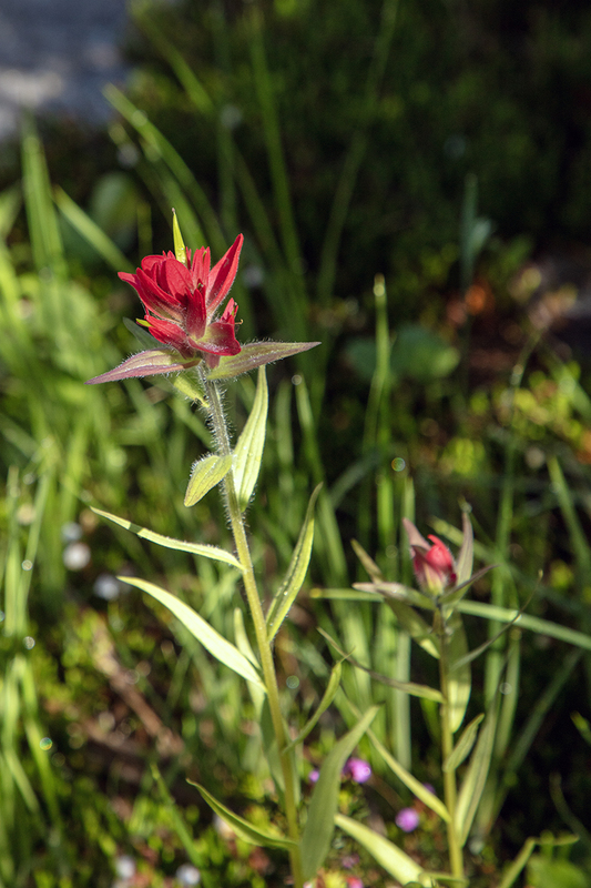 5G7A7614_R1 copy.jpg