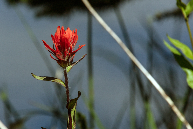 5G7A7619_R1 copy.jpg