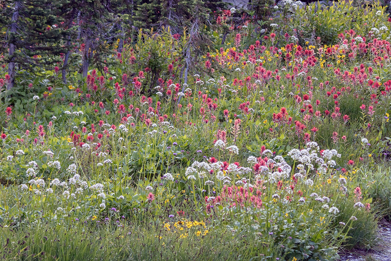 5G7A7632_R1 copy.jpg