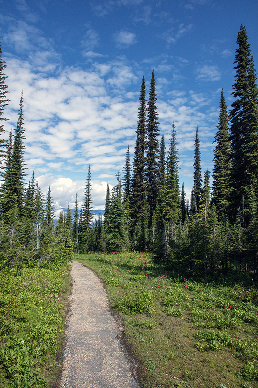 5G7A7640_R1 copy.jpg