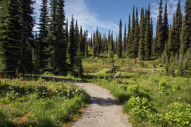 5G7A7655_R1 copy.jpg