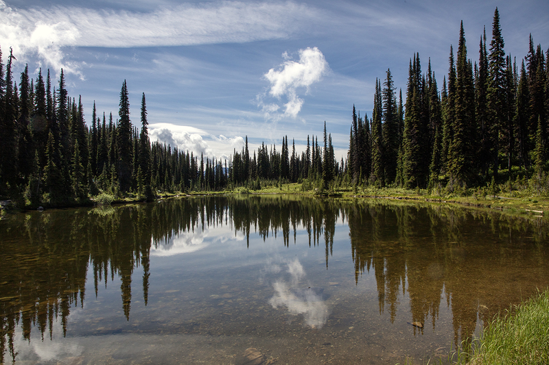 5G7A7659_R1 copy.jpg