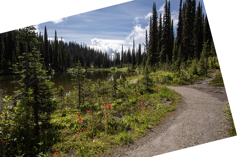 5G7A7660_R1 copy.jpg