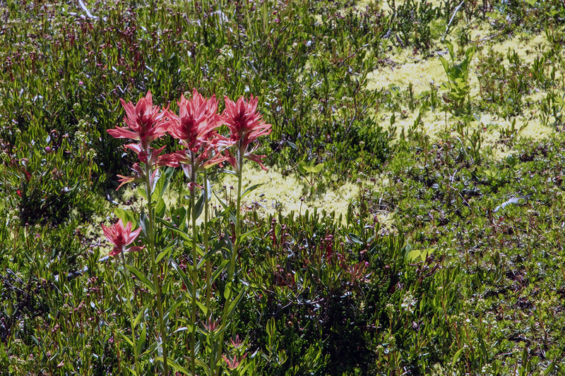 5G7A7665_R1 copy.jpg