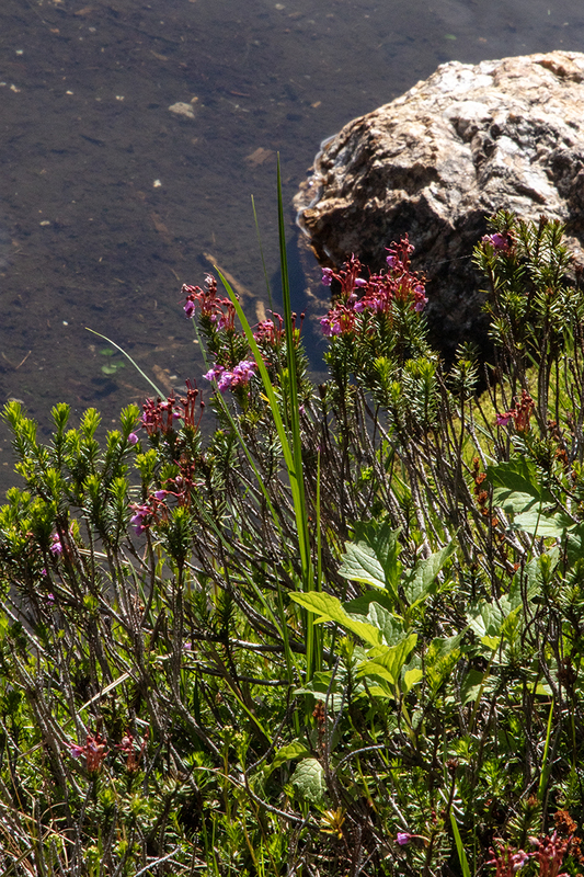 5G7A7668_R1 copy.jpg