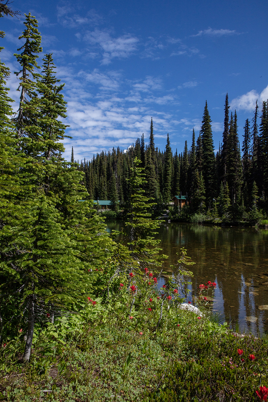 5G7A7679_R1 copy.jpg