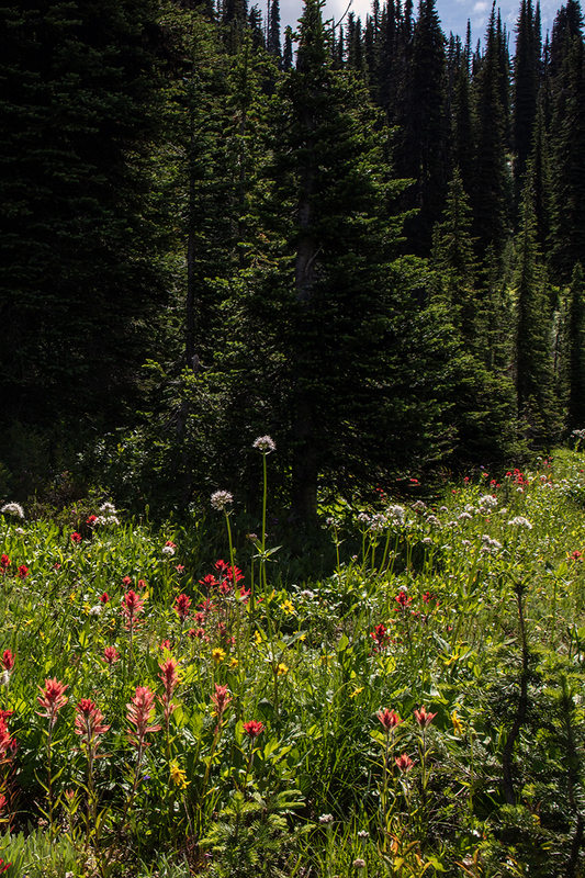 5G7A7692_R1 copy.jpg