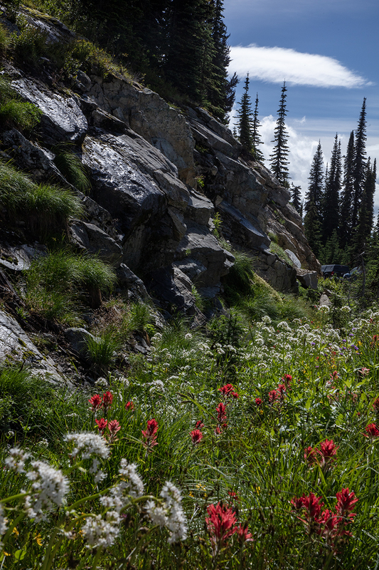 5G7A7721_R1 copy.jpg