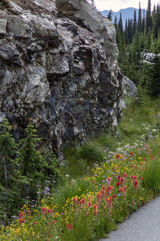 5G7A7729_R1 copy.jpg