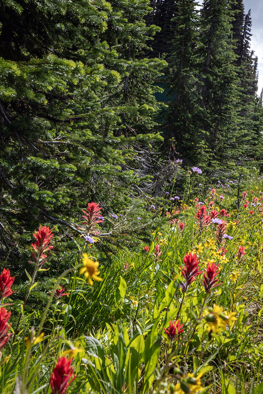 5G7A7738_R1 copy.jpg