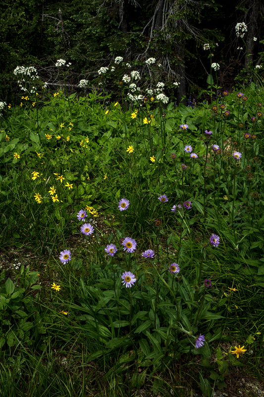 5G7A7745_R1 copy.jpg