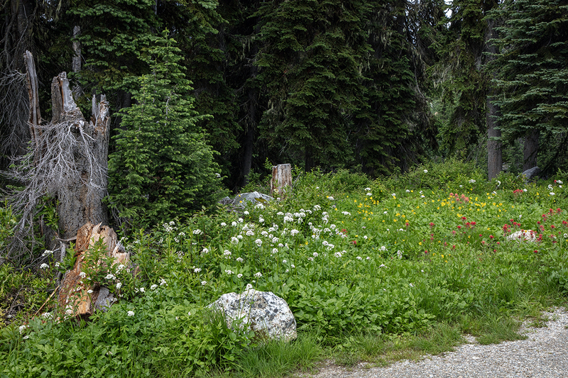 5G7A7757_R1 copy.jpg