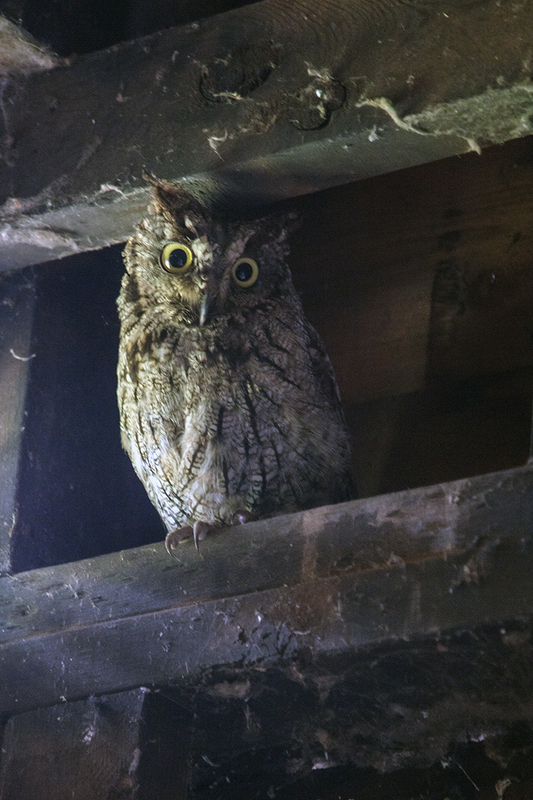 5G7A7765_R1 copy.jpg