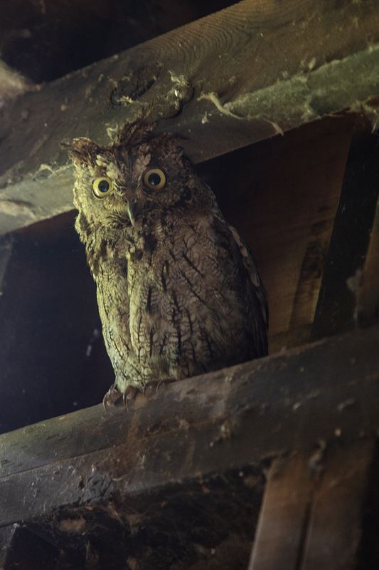 5G7A7794_R1 copy.jpg