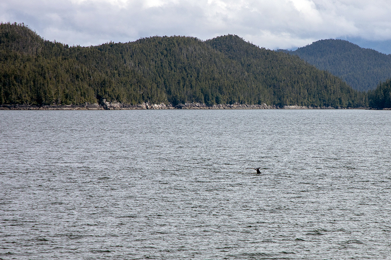 5G7A9503_R1 copy(1).jpg