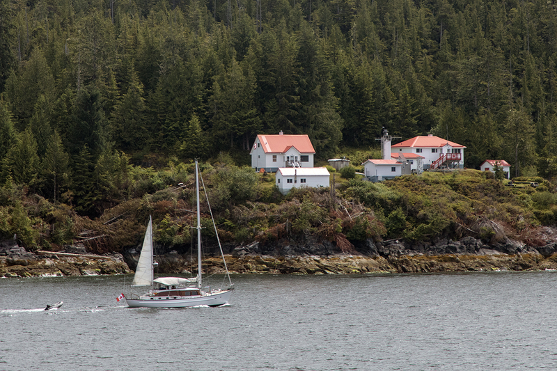 5G7A9548_R1_1 copy.jpg