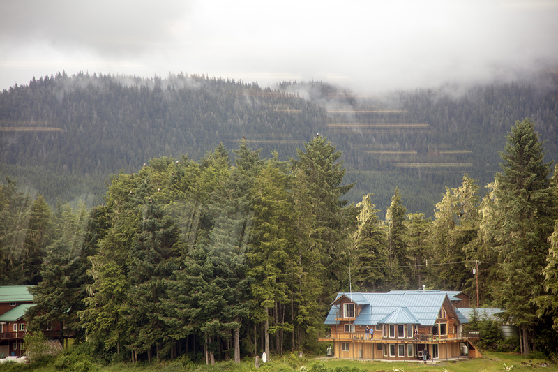 5G7A9602_R1 copy.jpg