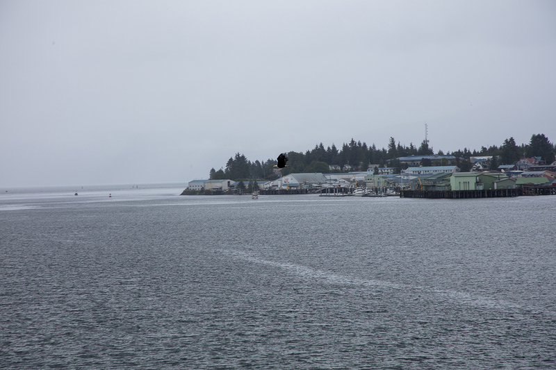 5G7A9641_R1 copy.jpg