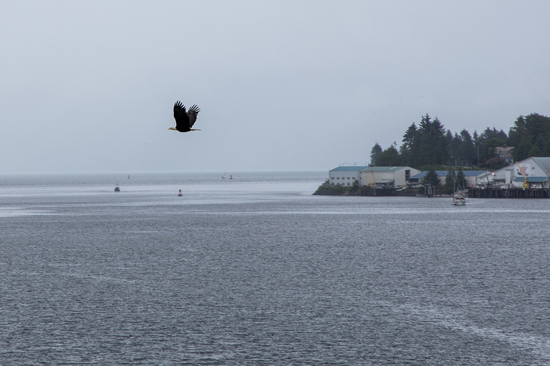 5G7A9644_R1 copy.jpg