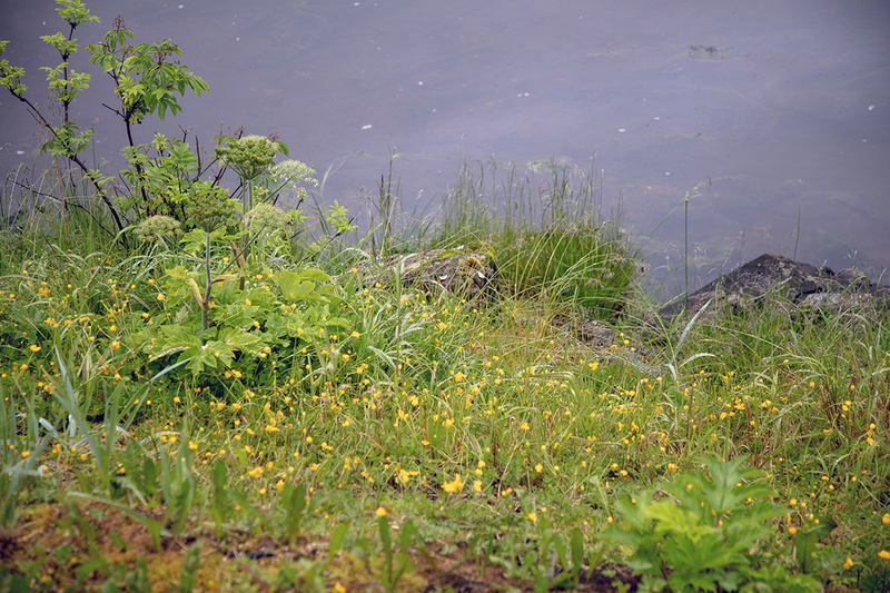 5G7A9725_R1 copy(2).jpg