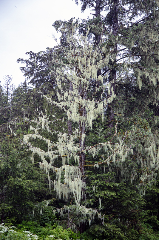 5G7A9738_R1 copy.jpg