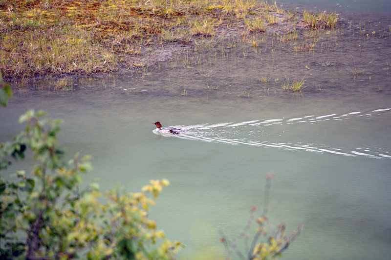 5G7A9835_R1 copy.jpg