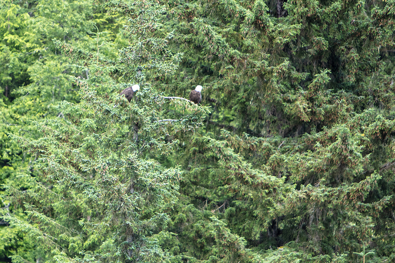 5G7A9932_R1 copy.jpg