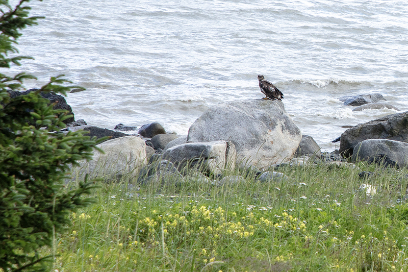 5G7A9949_R1 copy(2).jpg