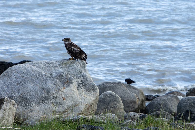 5G7A9963_R1 copy.jpg