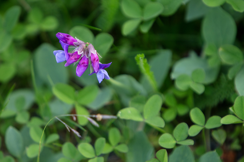 5G7A9969_R1 copy.jpg