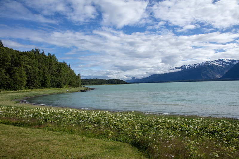 5G7A9973_R1 copy(2).jpg