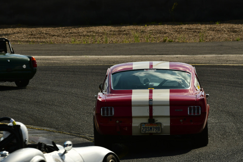 Group S Nov 2025-382.jpg