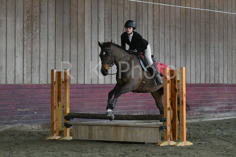 1-3-26 AEEAlumni-0006.jpg