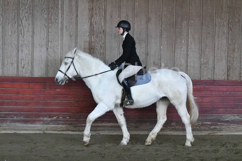 1-3-26 AEEAlumni-0067.jpg